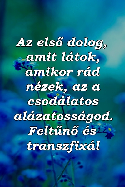 Az első dolog, amit látok, amikor rád nézek, az a csodálatos alázatosságod. Feltűnő és transzfixál