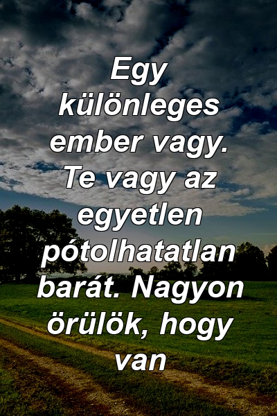 Egy különleges ember vagy. Te vagy az egyetlen pótolhatatlan barát. Nagyon örülök, hogy van