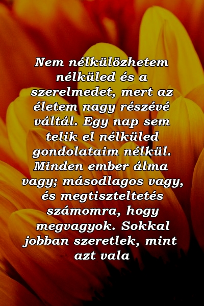 Nem nélkülözhetem nélküled és a szerelmedet, mert az életem nagy részévé váltál. Egy nap sem telik el nélküled gondolataim nélkül. Minden ember álma vagy; másodlagos vagy, és megtiszteltetés számomra, hogy megvagyok. Sokkal jobban szeretlek, mint azt vala