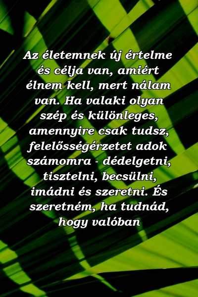 Az életemnek új értelme és célja van, amiért élnem kell, mert nálam van. Ha valaki olyan szép és különleges, amennyire csak tudsz, felelősségérzetet adok számomra - dédelgetni, tisztelni, becsülni, imádni és szeretni. És szeretném, ha tudnád, hogy valóban