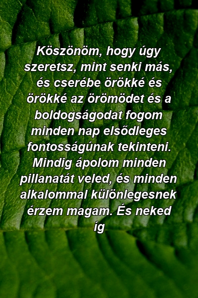 Köszönöm, hogy úgy szeretsz, mint senki más, és cserébe örökké és örökké az örömödet és a boldogságodat fogom minden nap elsődleges fontosságúnak tekinteni. Mindig ápolom minden pillanatát veled, és minden alkalommal különlegesnek érzem magam. És neked íg