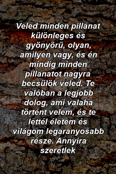 Veled minden pillanat különleges és gyönyörű, olyan, amilyen vagy, és én mindig minden pillanatot nagyra becsülök veled. Te valóban a legjobb dolog, ami valaha történt velem, és te lettél életem és világom legaranyosabb része. Annyira szeretlek