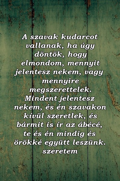 A szavak kudarcot vallanak, ha úgy döntök, hogy elmondom, mennyit jelentesz nekem, vagy mennyire megszerettelek. Mindent jelentesz nekem, és én szavakon kívül szeretlek, és bármit is ír az ábécé, te és én mindig és örökké együtt leszünk. szeretem