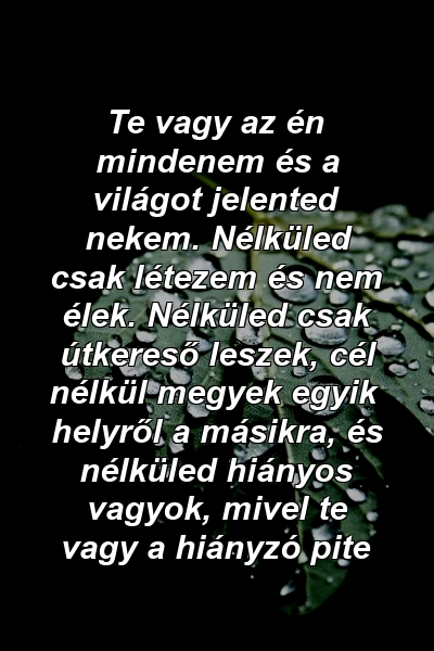 Te vagy az én mindenem és a világot jelented nekem. Nélküled csak létezem és nem élek. Nélküled csak útkereső leszek, cél nélkül megyek egyik helyről a másikra, és nélküled hiányos vagyok, mivel te vagy a hiányzó pite