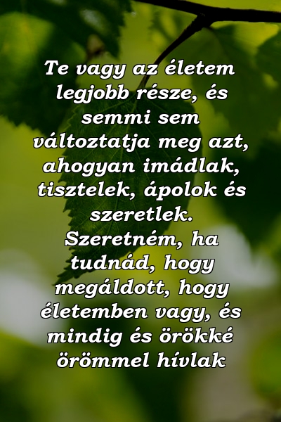 Te vagy az életem legjobb része, és semmi sem változtatja meg azt, ahogyan imádlak, tisztelek, ápolok és szeretlek. Szeretném, ha tudnád, hogy megáldott, hogy életemben vagy, és mindig és örökké örömmel hívlak