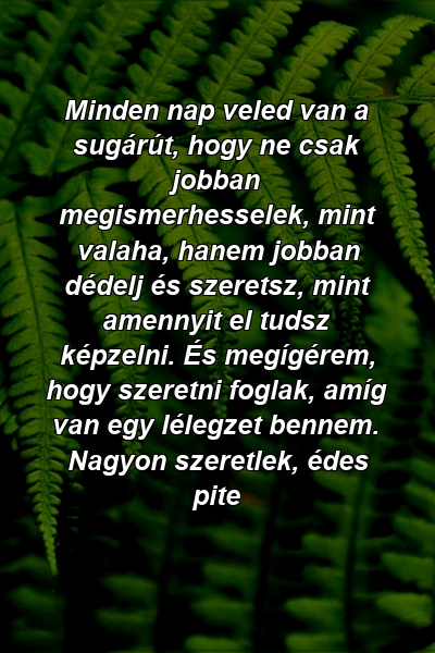 Minden nap veled van a sugárút, hogy ne csak jobban megismerhesselek, mint valaha, hanem jobban dédelj és szeretsz, mint amennyit el tudsz képzelni. És megígérem, hogy szeretni foglak, amíg van egy lélegzet bennem. Nagyon szeretlek, édes pite