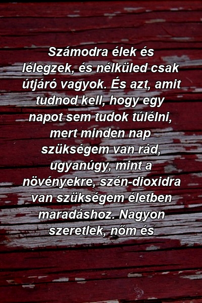 Számodra élek és lélegzek, és nélküled csak útjáró vagyok. És azt, amit tudnod kell, hogy egy napot sem tudok túlélni, mert minden nap szükségem van rád, ugyanúgy, mint a növényekre, szén-dioxidra van szükségem életben maradáshoz. Nagyon szeretlek, nőm és