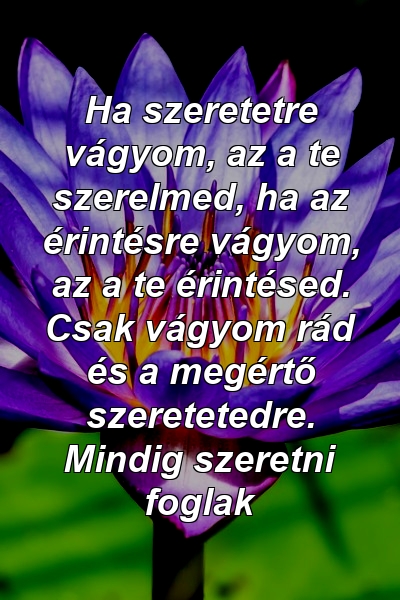 Ha szeretetre vágyom, az a te szerelmed, ha az érintésre vágyom, az a te érintésed. Csak vágyom rád és a megértő szeretetedre. Mindig szeretni foglak