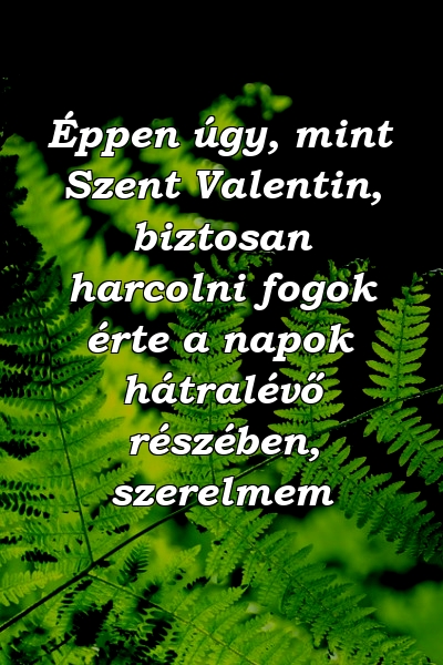 Éppen úgy, mint Szent Valentin, biztosan harcolni fogok érte a napok hátralévő részében, szerelmem