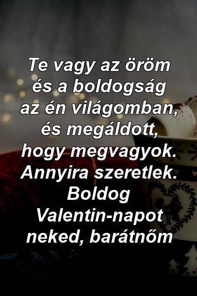 Te vagy az öröm és a boldogság az én világomban, és megáldott, hogy megvagyok. Annyira szeretlek. Boldog Valentin-napot neked, barátnőm