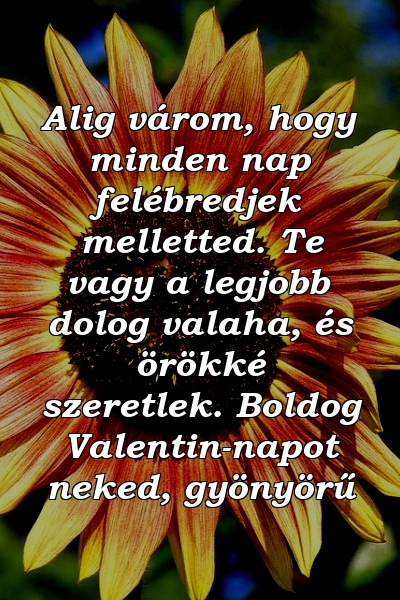 Alig várom, hogy minden nap felébredjek melletted. Te vagy a legjobb dolog valaha, és örökké szeretlek. Boldog Valentin-napot neked, gyönyörű