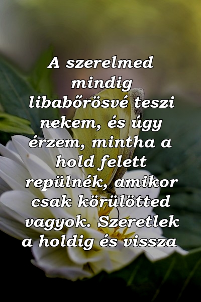 A szerelmed mindig libabőrösvé teszi nekem, és úgy érzem, mintha a hold felett repülnék, amikor csak körülötted vagyok. Szeretlek a holdig és vissza