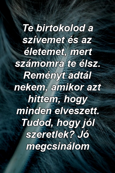 Te birtokolod a szívemet és az életemet, mert számomra te élsz. Reményt adtál nekem, amikor azt hittem, hogy minden elveszett. Tudod, hogy jól szeretlek? Jó megcsinálom