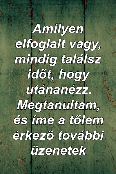 Amilyen elfoglalt vagy, mindig találsz időt, hogy utánanézz. Megtanultam, és íme a tőlem érkező további üzenetek