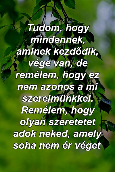 Tudom, hogy mindennek, aminek kezdődik, vége van, de remélem, hogy ez nem azonos a mi szerelmünkkel. Remélem, hogy olyan szeretetet adok neked, amely soha nem ér véget