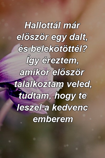 Hallottál már először egy dalt, és belekötöttél? Így éreztem, amikor először találkoztam veled, tudtam, hogy te leszel a kedvenc emberem