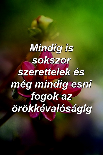 Mindig is sokszor szerettelek és még mindig esni fogok az örökkévalóságig