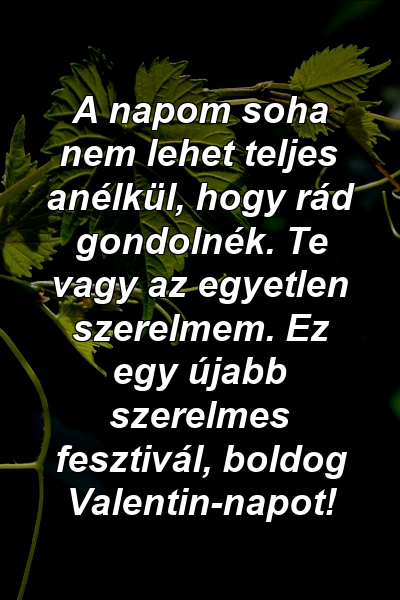 A napom soha nem lehet teljes anélkül, hogy rád gondolnék. Te vagy az egyetlen szerelmem. Ez egy újabb szerelmes fesztivál, boldog Valentin-napot!