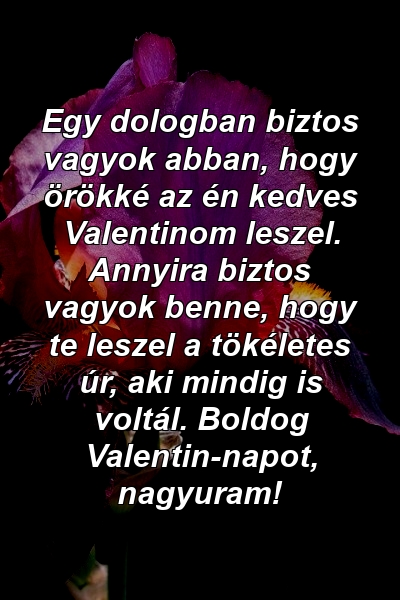 Egy dologban biztos vagyok abban, hogy örökké az én kedves Valentinom leszel. Annyira biztos vagyok benne, hogy te leszel a tökéletes úr, aki mindig is voltál. Boldog Valentin-napot, nagyuram!