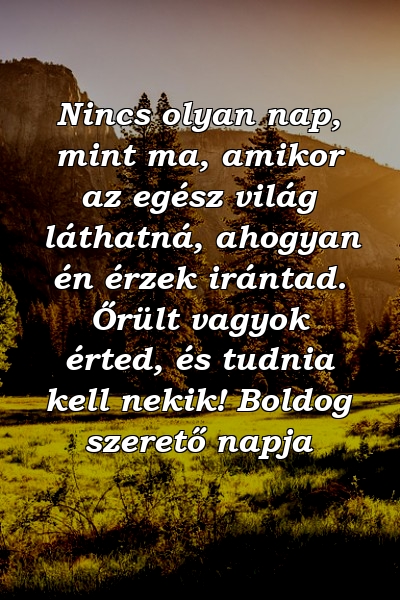 Nincs olyan nap, mint ma, amikor az egész világ láthatná, ahogyan én érzek irántad. Őrült vagyok érted, és tudnia kell nekik! Boldog szerető napja