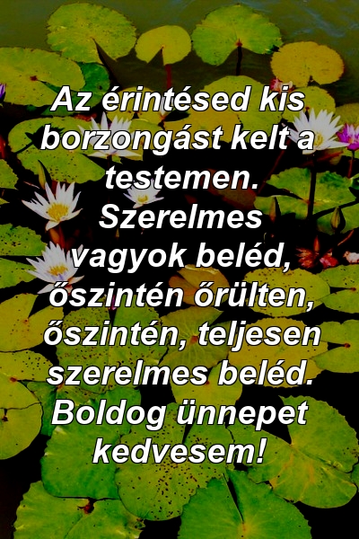 Az érintésed kis borzongást kelt a testemen. Szerelmes vagyok beléd, őszintén őrülten, őszintén, teljesen szerelmes beléd. Boldog ünnepet kedvesem!