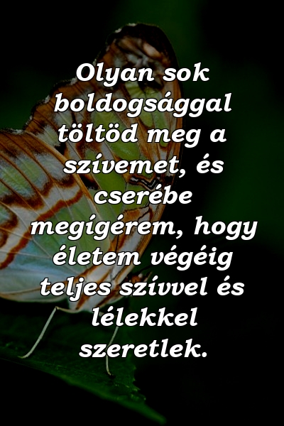 Olyan sok boldogsággal töltöd meg a szívemet, és cserébe megígérem, hogy életem végéig teljes szívvel és lélekkel szeretlek.