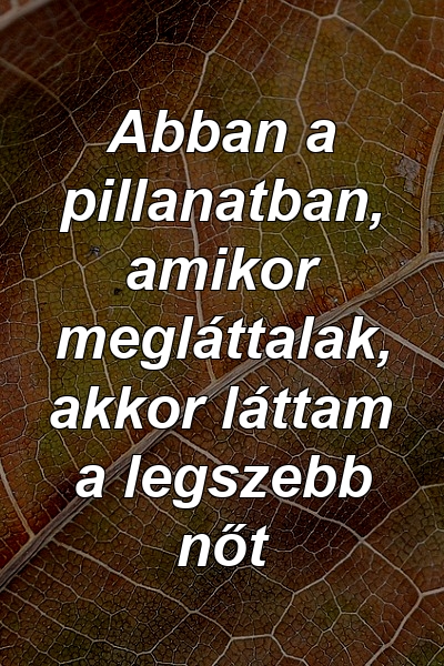 Abban a pillanatban, amikor megláttalak, akkor láttam a legszebb nőt