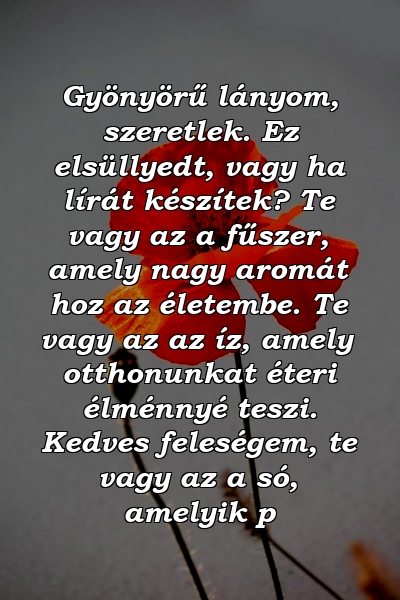 Gyönyörű lányom, szeretlek. Ez elsüllyedt, vagy ha lírát készítek? Te vagy az a fűszer, amely nagy aromát hoz az életembe. Te vagy az az íz, amely otthonunkat éteri élménnyé teszi. Kedves feleségem, te vagy az a só, amelyik p