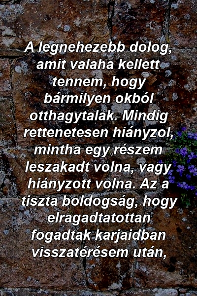 A legnehezebb dolog, amit valaha kellett tennem, hogy bármilyen okból otthagytalak. Mindig rettenetesen hiányzol, mintha egy részem leszakadt volna, vagy hiányzott volna. Az a tiszta boldogság, hogy elragadtatottan fogadtak karjaidban visszatérésem után, 