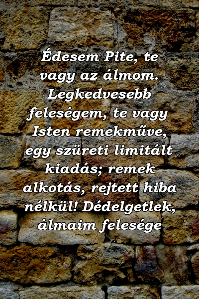 Édesem Pite, te vagy az álmom. Legkedvesebb feleségem, te vagy Isten remekműve, egy szüreti limitált kiadás; remek alkotás, rejtett hiba nélkül! Dédelgetlek, álmaim felesége