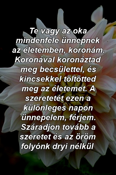 Te vagy az oka mindenféle ünnepnek az életemben, koronám. Koronával koronáztad meg becsülettel, és kincsekkel töltötted meg az életemet. A szeretetét ezen a különleges napon ünnepelem, férjem. Száradjon tovább a szeretet és az öröm folyónk dryi nélkül