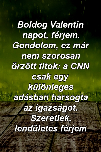 Boldog Valentin napot, férjem. Gondolom, ez már nem szorosan őrzött titok: a CNN csak egy különleges adásban harsogta az igazságot. Szeretlek, lendületes férjem