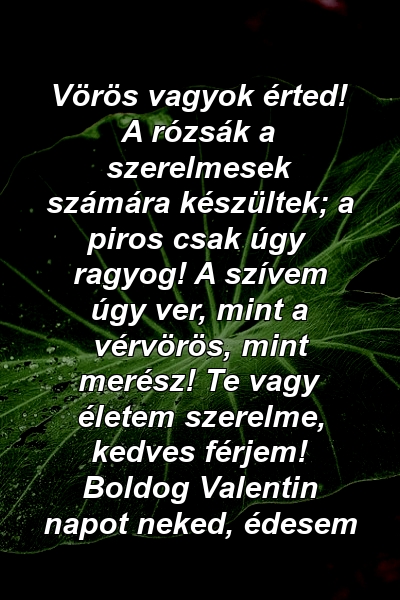 Vörös vagyok érted! A rózsák a szerelmesek számára készültek; a piros csak úgy ragyog! A szívem úgy ver, mint a vérvörös, mint merész! Te vagy életem szerelme, kedves férjem! Boldog Valentin napot neked, édesem