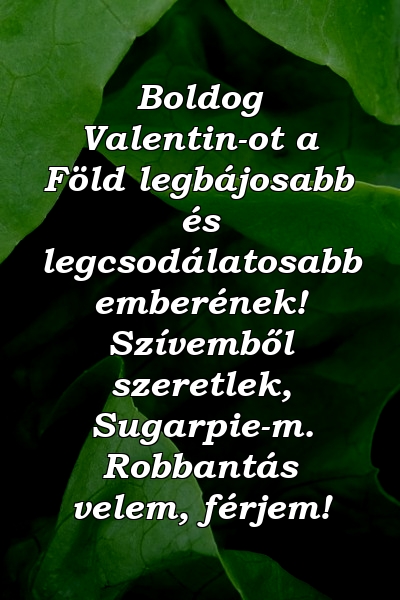Boldog Valentin-ot a Föld legbájosabb és legcsodálatosabb emberének! Szívemből szeretlek, Sugarpie-m. Robbantás velem, férjem!