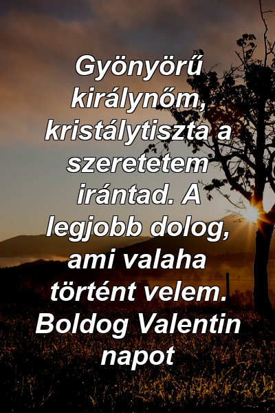 Gyönyörű királynőm, kristálytiszta a szeretetem irántad. A legjobb dolog, ami valaha történt velem. Boldog Valentin napot