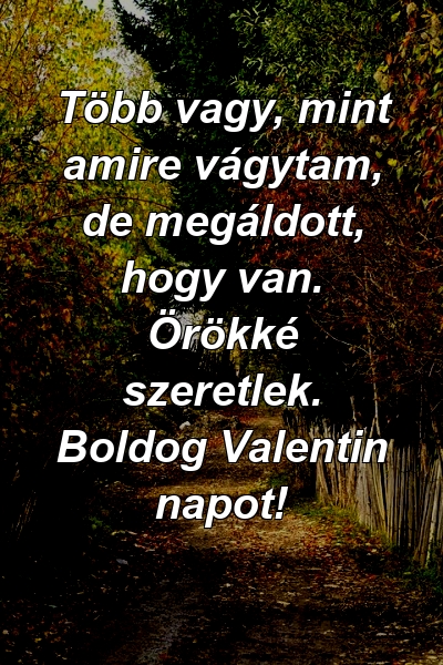 Több vagy, mint amire vágytam, de megáldott, hogy van. Örökké szeretlek. Boldog Valentin napot!