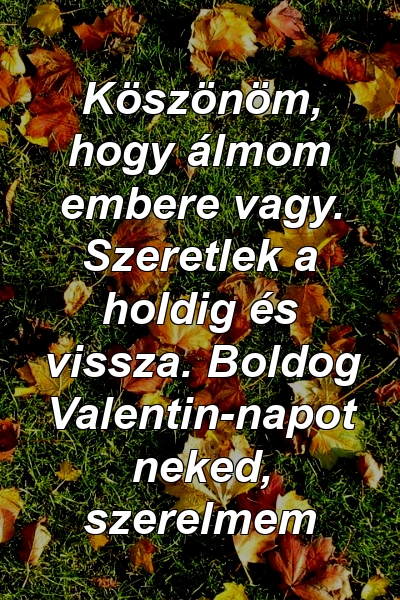 Köszönöm, hogy álmom embere vagy. Szeretlek a holdig és vissza. Boldog Valentin-napot neked, szerelmem