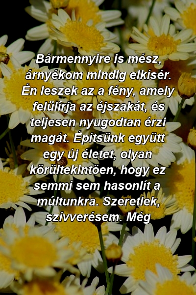 Bármennyire is mész, árnyékom mindig elkísér. Én leszek az a fény, amely felülírja az éjszakát, és teljesen nyugodtan érzi magát. Építsünk együtt egy új életet, olyan körültekintően, hogy ez semmi sem hasonlít a múltunkra. Szeretlek, szívverésem. Még