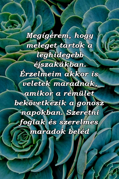 Megígérem, hogy meleget tartok a leghidegebb éjszakákban. Érzelmeim akkor is veletek maradnak, amikor a rémület bekövetkezik a gonosz napokban. Szeretni foglak és szerelmes maradok beléd