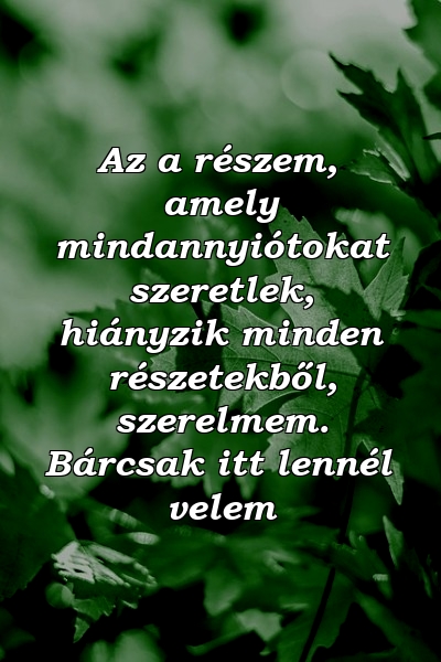 Az a részem, amely mindannyiótokat szeretlek, hiányzik minden részetekből, szerelmem. Bárcsak itt lennél velem