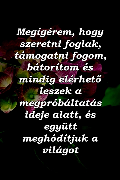 Megígérem, hogy szeretni foglak, támogatni fogom, bátorítom és mindig elérhető leszek a megpróbáltatás ideje alatt, és együtt meghódítjuk a világot