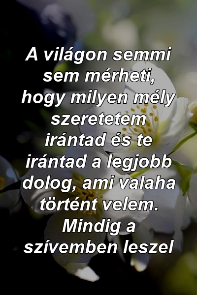 A világon semmi sem mérheti, hogy milyen mély szeretetem irántad és te irántad a legjobb dolog, ami valaha történt velem. Mindig a szívemben leszel