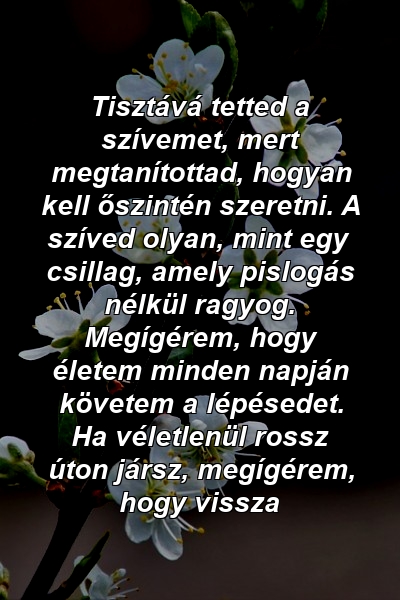 Tisztává tetted a szívemet, mert megtanítottad, hogyan kell őszintén szeretni. A szíved olyan, mint egy csillag, amely pislogás nélkül ragyog. Megígérem, hogy életem minden napján követem a lépésedet. Ha véletlenül rossz úton jársz, megígérem, hogy vissza