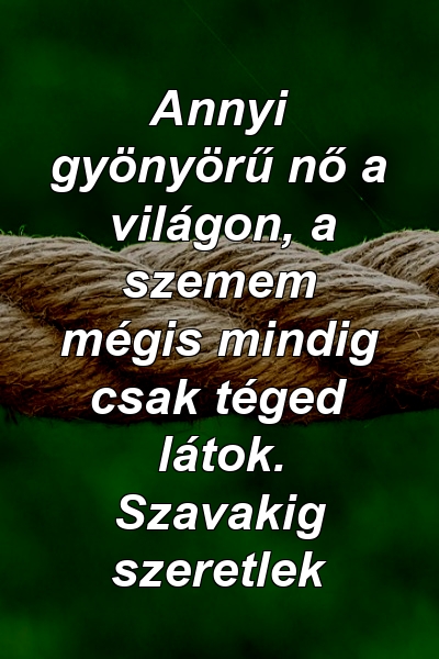 Annyi gyönyörű nő a világon, a szemem mégis mindig csak téged látok. Szavakig szeretlek