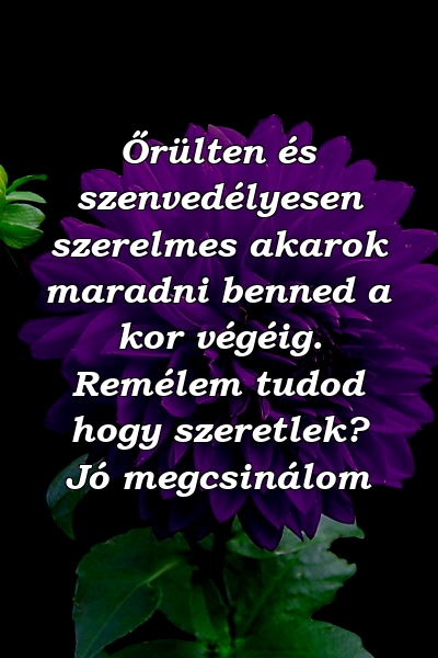 Őrülten és szenvedélyesen szerelmes akarok maradni benned a kor végéig. Remélem tudod hogy szeretlek? Jó megcsinálom