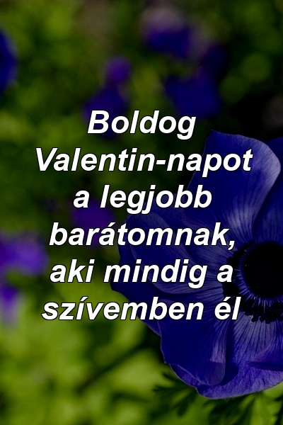 Boldog Valentin-napot a legjobb barátomnak, aki mindig a szívemben él