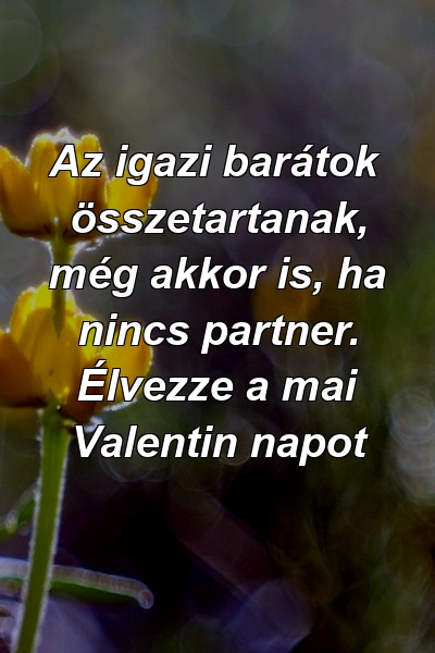 Az igazi barátok összetartanak, még akkor is, ha nincs partner. Élvezze a mai Valentin napot