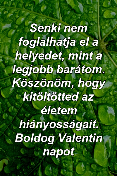 Senki nem foglalhatja el a helyedet, mint a legjobb barátom. Köszönöm, hogy kitöltötted az életem hiányosságait. Boldog Valentin napot