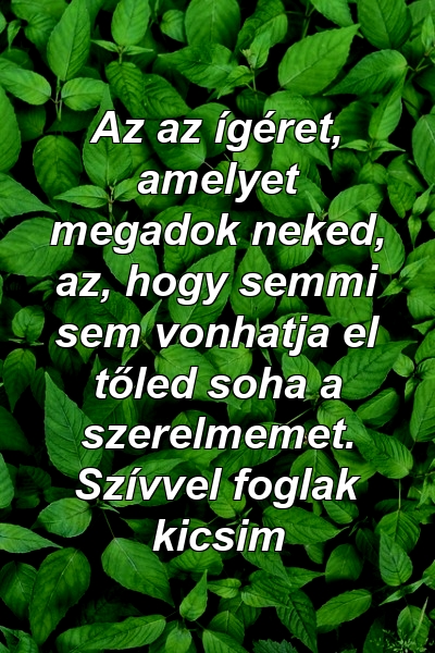 Az az ígéret, amelyet megadok neked, az, hogy semmi sem vonhatja el tőled soha a szerelmemet. Szívvel foglak kicsim