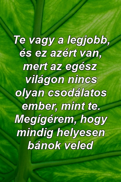 Te vagy a legjobb, és ez azért van, mert az egész világon nincs olyan csodálatos ember, mint te. Megígérem, hogy mindig helyesen bánok veled